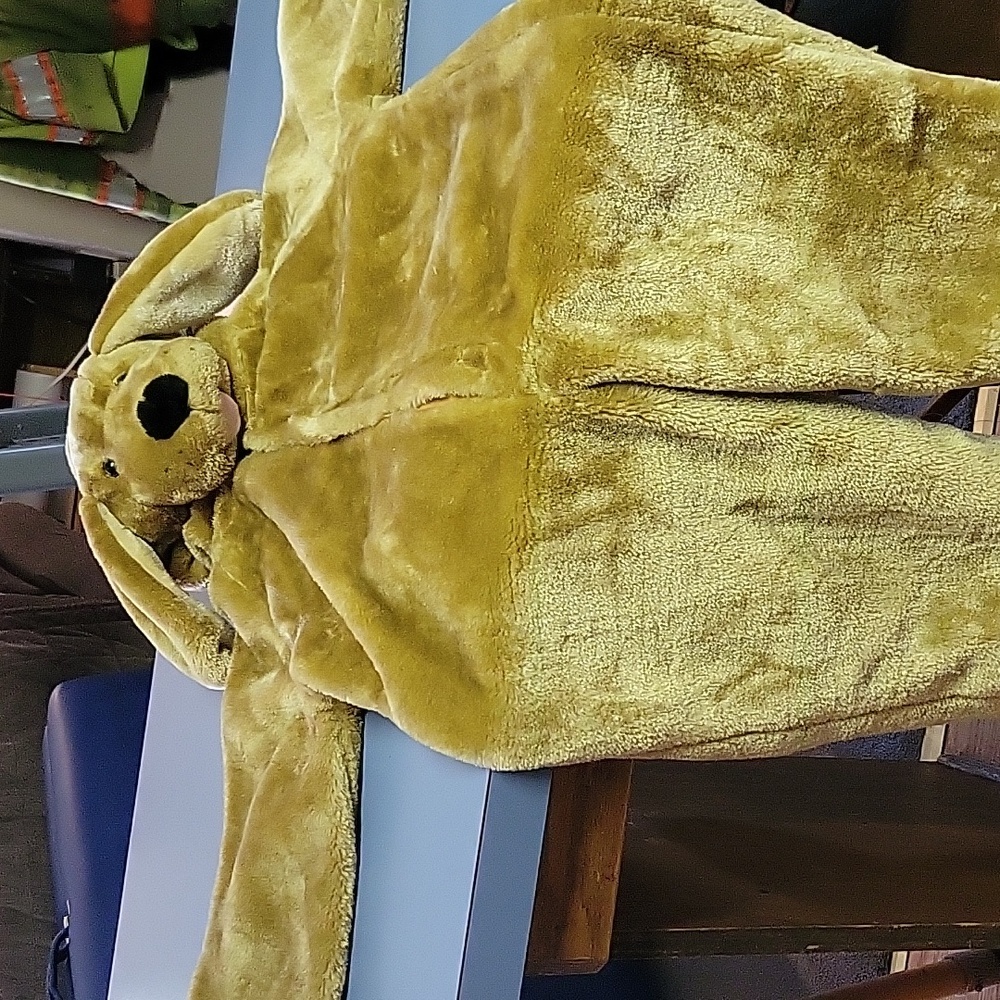 Dress America puppy dog costume size small 4-5. Color brown.